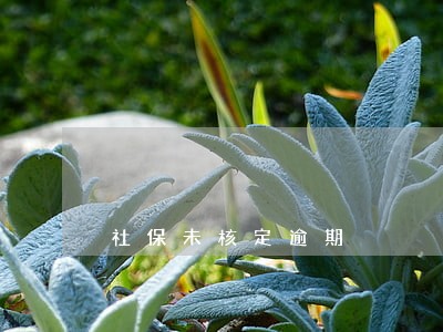 社保未核定逾期 社保未核定逾期