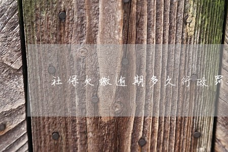 社保欠缴逾期多久行政罚款 社保欠缴逾期多久行政罚款