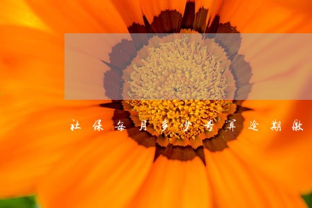 社保每月多少号算逾期缴费 社保每月多少号算逾期缴费