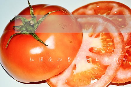 社保没扣费在网上逾期补交可以吗 社保没扣费在网上逾期补交可以吗