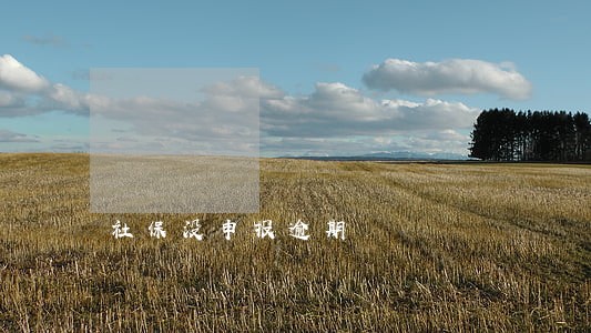 社保没申报逾期 社保没申报逾期