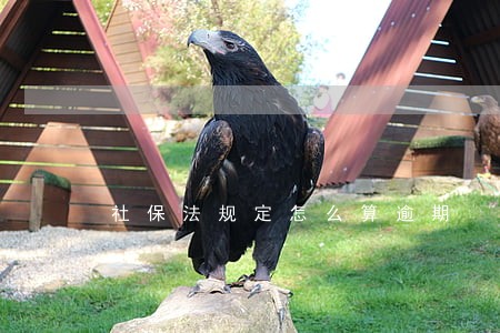 社保法规定怎么算逾期 社保法规定怎么算逾期