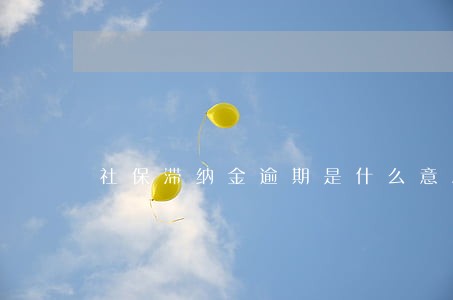 社保滞纳金逾期是什么意思 社保滞纳金逾期是什么意思