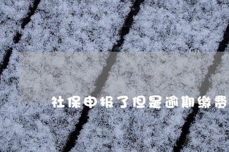 社保申报了但是逾期缴费算断缴吗 社保申报了但是逾期缴费算断缴吗