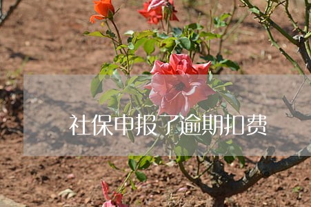 社保申报了逾期扣费 社保申报了逾期扣费