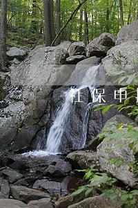 社保申报了逾期未交怎么办 社保申报了逾期未交怎么办