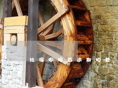 社保申报后逾期扣款 社保申报后逾期扣款