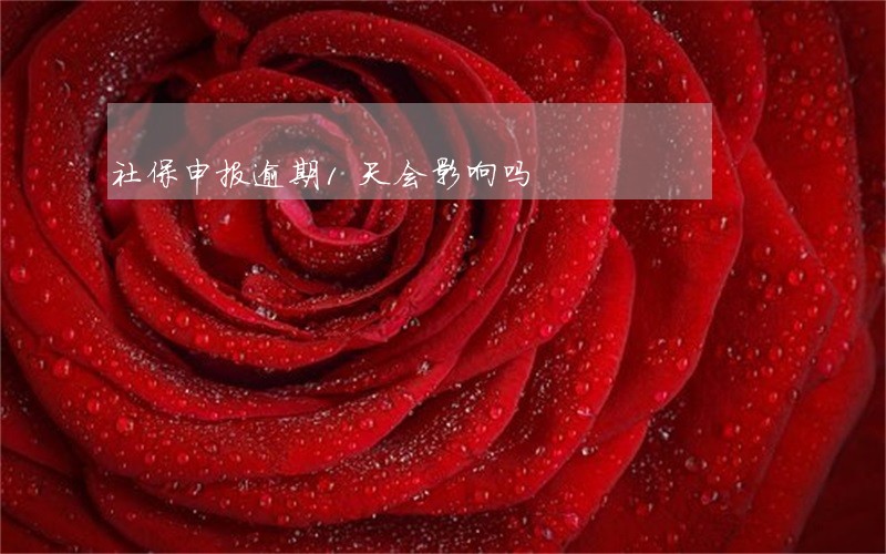 社保申报逾期1天会影响吗 社保申报逾期1天会影响吗