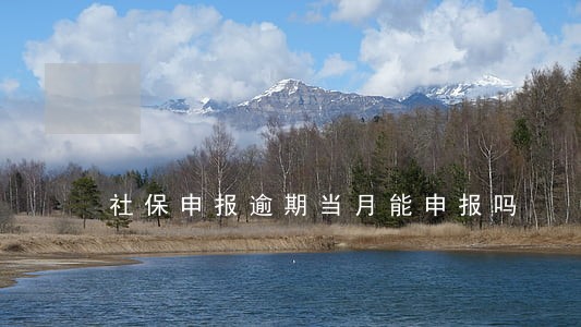 社保申报逾期当月能申报吗 社保申报逾期当月能申报吗