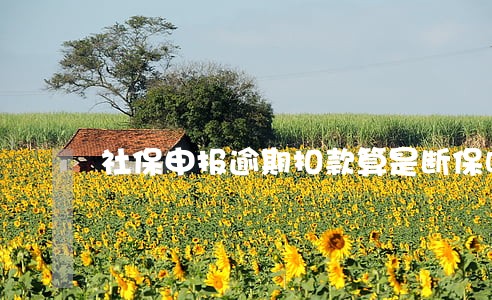 社保申报逾期扣款算是断保吗 社保申报逾期扣款算是断保吗