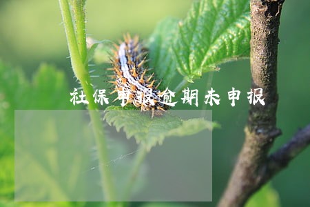 社保申报逾期未申报 社保申报逾期未申报