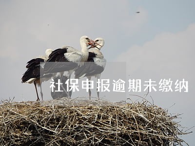 社保申报逾期未缴纳 社保申报逾期未缴纳