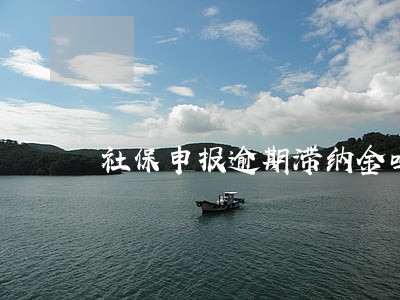 社保申报逾期滞纳金吗 社保申报逾期滞纳金吗