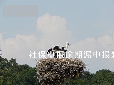 社保申报逾期漏申报怎么办 社保申报逾期漏申报怎么办