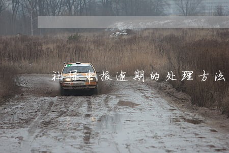 社保申报逾期的处理方法 社保申报逾期的处理方法