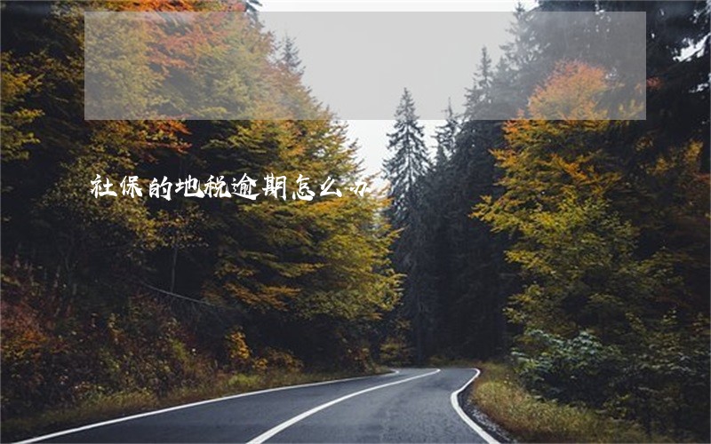 社保的地税逾期怎么办 社保的地税逾期怎么办