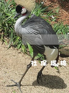 社保稽核逾期未办理 社保稽核逾期未办理