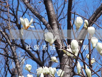 社保系统上传逾期 社保系统上传逾期