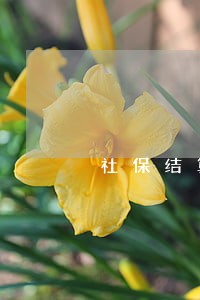 社保结算申报表逾期 社保结算申报表逾期