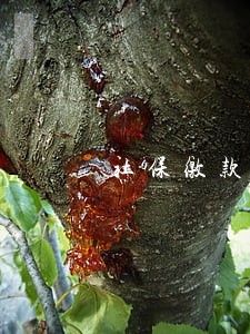 社保缴款书逾期了 社保缴款书逾期了