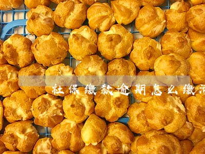 社保缴款逾期怎么缴滞纳金 社保缴款逾期怎么缴滞纳金
