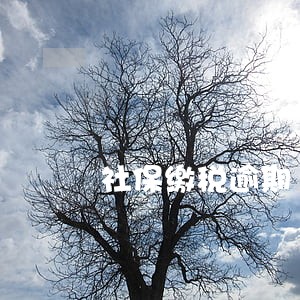 社保缴税逾期