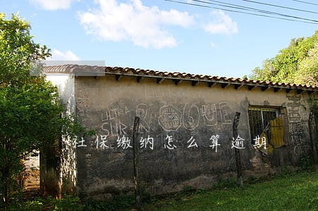 社保缴纳怎么算逾期 社保缴纳怎么算逾期