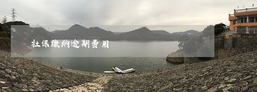 社保缴纳逾期费用 社保缴纳逾期费用