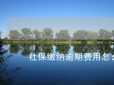 社保缴纳逾期费用怎么做账 社保缴纳逾期费用怎么做账