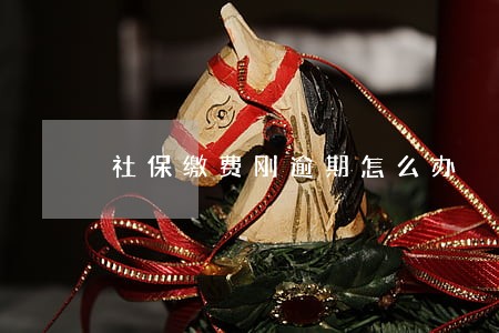 社保缴费刚逾期怎么办 社保缴费刚逾期怎么办
