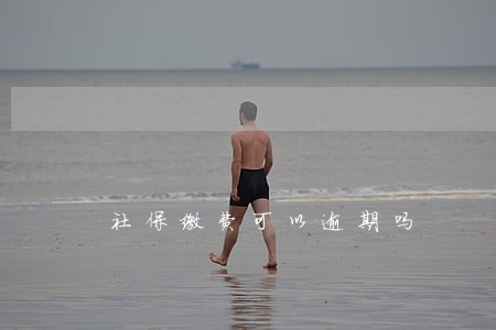 社保缴费可以逾期吗 社保缴费可以逾期吗