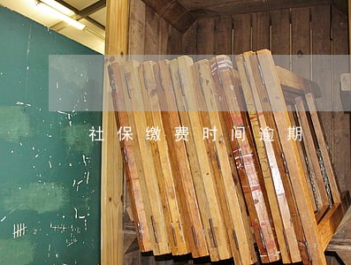 社保缴费时间逾期 社保缴费时间逾期