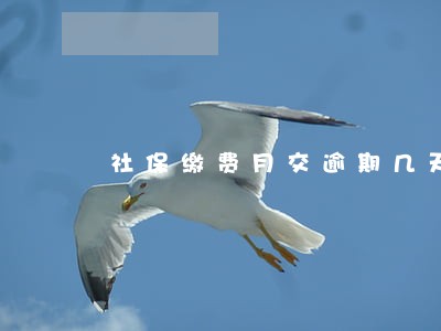 社保缴费月交逾期几天怎么办 社保缴费月交逾期几天怎么办