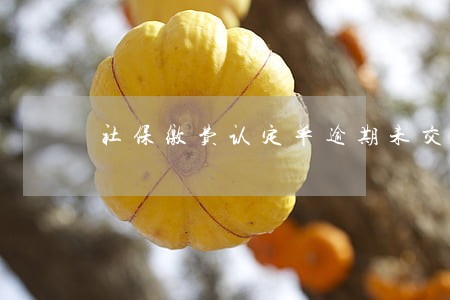 社保缴费认定单逾期未交 社保缴费认定单逾期未交
