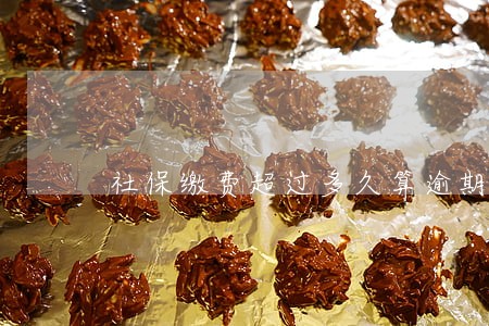社保缴费超过多久算逾期 社保缴费超过多久算逾期