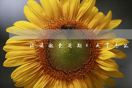 社保缴费逾期4天了怎么办 社保缴费逾期4天了怎么办