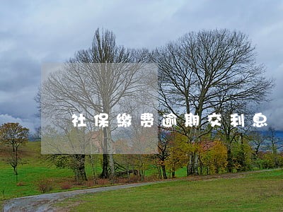 社保缴费逾期交利息 社保缴费逾期交利息