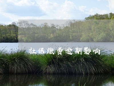 社保缴费逾期影响 社保缴费逾期影响