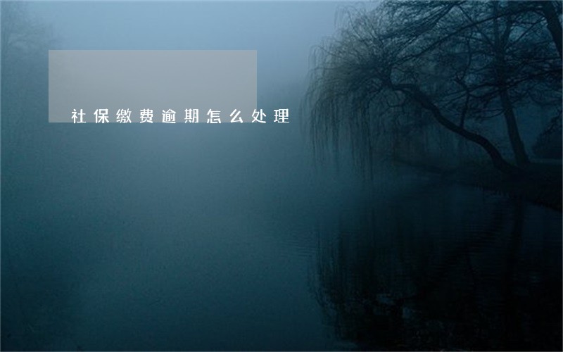 社保缴费逾期怎么处理 社保缴费逾期怎么处理