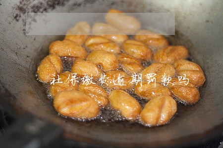社保缴费逾期罚款吗 社保缴费逾期罚款吗