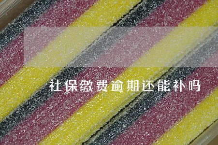 社保缴费逾期还能补吗 社保缴费逾期还能补吗