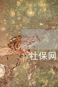社保网上申报逾期怎么办 社保网上申报逾期怎么办