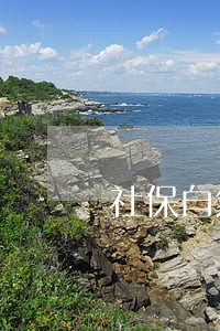 社保自然人自助交费逾期怎么办 社保自然人自助交费逾期怎么办