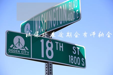 社保补差逾期会有滞纳金吗 社保补差逾期会有滞纳金吗
