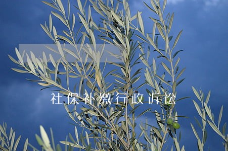 社保补缴行政诉讼