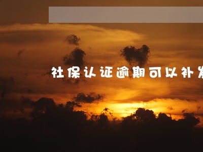 社保认证逾期可以补发吗 社保认证逾期可以补发吗