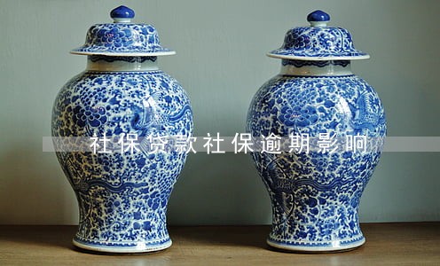 社保贷款社保逾期影响 社保贷款社保逾期影响