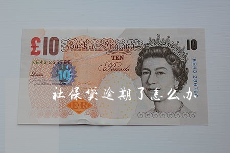 社保贷逾期了怎么办 社保贷逾期了怎么办