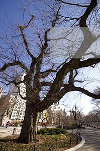 社保贷逾期会上征信吗 社保贷逾期会上征信吗