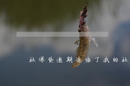 社保贷逾期冻结了我的社保卡